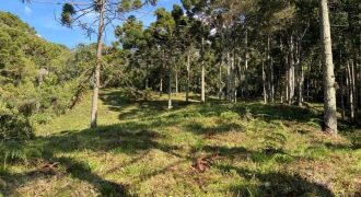 Belíssimo sítio de 4 hectares em Delfim Moreira-MG