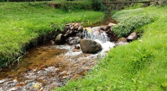 Belíssimo Sítio de 2 Hectares, Com 2 Excelentes Casas, Delfim Moreira, Sul de Minas Gerais!