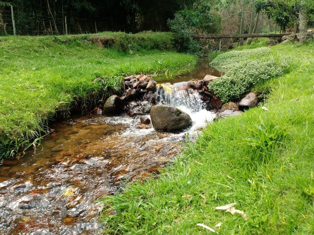 Belíssimo Sítio de 2 Hectares, Com 2 Excelentes Casas, Delfim Moreira, Sul de Minas Gerais!