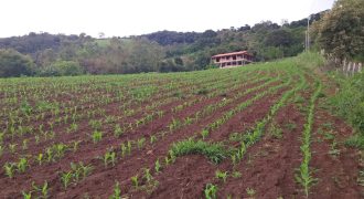 Maravilhoso sítio de 20.000m2 no Alto da Mantiqueira. Marmelopolis – MG