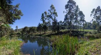 FAZENDA DE 74,34 HECTARES, UM VERDADEIRO PARAÍSO NO TOPO DA SERRA DA MANTIQUEIRA, LOCAL NOBRE DE DELFIM MOREIRA, SUL DE MINAS GERAIS!