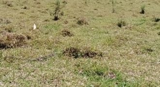 Excelente chácara 4000 m2 em Piranguçu-MG