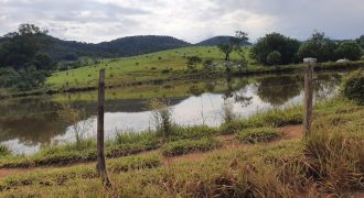 Magnífica Fazenda 290 Hectares, entre Pouso Alegre e Borda da Mata!