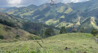 Maravilhoso Sítio de 15 Hectares no Alto da Mantiqueira Delfim Moreira – MG