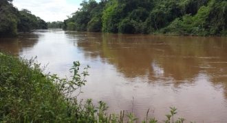 Maravilhosa Fazenda com 83 hectares, em Olegário Maciel, Piranguinho, Sul de Minas Gerais!