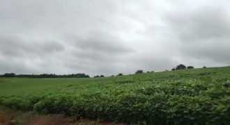 Fantástica Fazenda com 715 Hectares, Riquíssima em Água, Campo Belo, Sul de Minas Gerais!