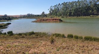 Excelente Fazenda de 100 Alqueires, Rica em Água e Terra Boa, Senador Amaral / Sul de Minas Gerais!