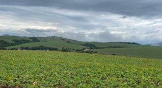 Oportunidade Única! Fazenda de 871,56 Hectares – Lavoura Branca, Café e Pasto em Carmo do Rio Claro, Sul de Minas Gerais! – Em 5 PARCELAS ANUAIS!