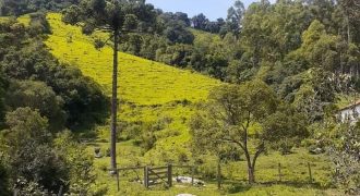 Ótima chácara com 36.000 m² na serra da Mantiqueira em Delfim Moreira/