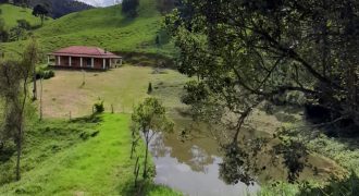 Maravilhoso Sitio com 38 Hectares, RIQUÍSSIMO EM ÁGUA, Delfim Moreira, Sul de Minas Gerais!