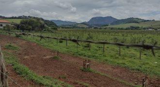 Ótimo Sítio de 3 alqueires em Pedralva-MG