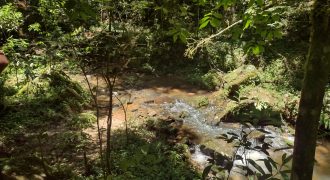 Maravilhosa Chácara na serra da Mantiqueira com 3,6 hectares em Marmelópolis/MG