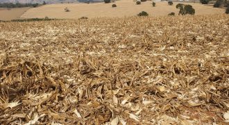 Ótima Fazenda de 145,20 Hectares em São Sebastião da Bela Vista, a 22 km de Pouso Alegre, Sul de Minas Gerais!