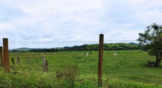 Espetacular Fazenda de 228 Hectares, na Região de Pouso Alegre, Sul de Minas Gerais!