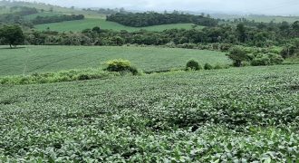 Maravilhosa Fazenda com 276 Hectares, em São José da Barra, Minas Gerais!