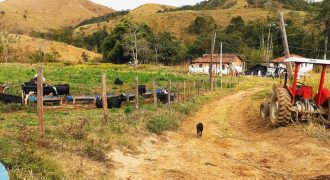 Imperdível!!! Maravilhosa Fazenda com 65 Alqueires em Cachoeira Paulista/SP