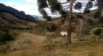 Excelente Sítio com 6,34 hectares na Serra da Mantiqueira em Delfim Moreira/MG