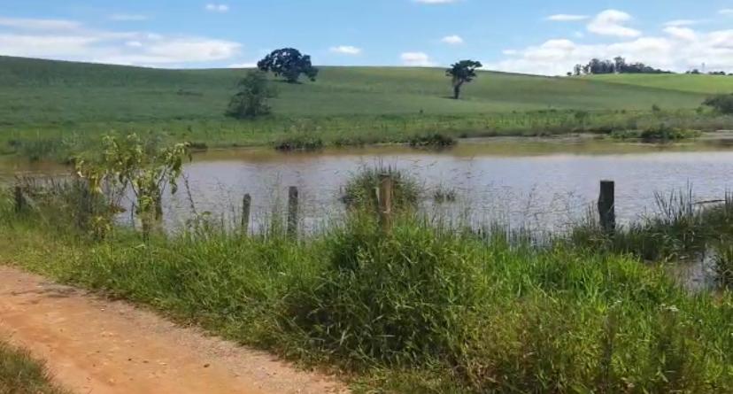 Espetacular Fazenda de 150 Hectares-Lavoura Branca-Dupla Aptidão/Pouso Alegre-Sul de Minas Gerais