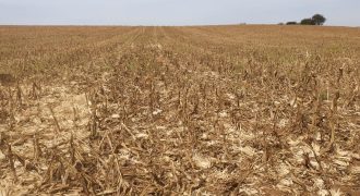 Ótima Fazenda de 145,20 Hectares em São Sebastião da Bela Vista, Sul de Minas Gerais!