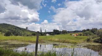 Magnífica Fazenda  com 147 Alqueires,  entre Fortaleza de Minas e Passos/MG