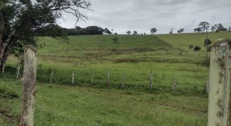 Ótimo Sítio de 4 Alqueires, em São José do Alegre, Sul de Minas Gerais!