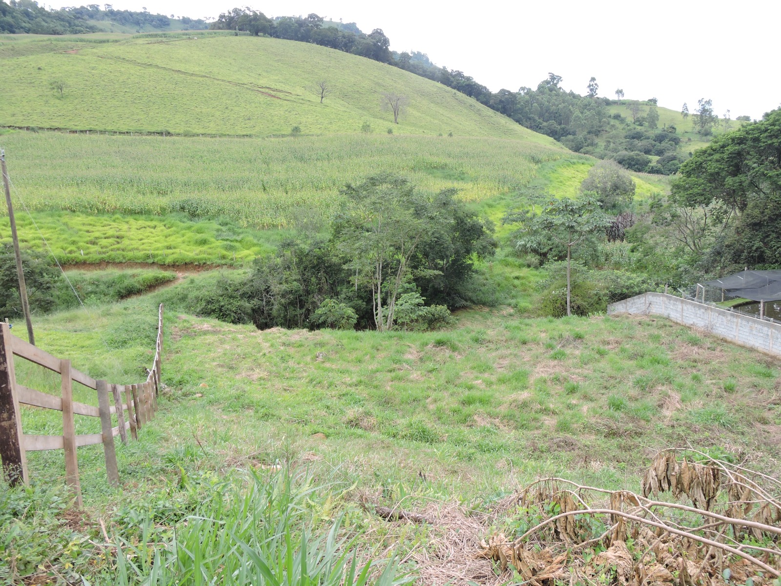 Chácara 2.500 m2 em Lugar Encantador no Alto da Mantiqueira – Delfim Moreira-MG