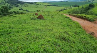 TEM PREÇO! Fazenda de 722 Hectares – Rica em Água e Terra Boa – Lavoura-Gado /Santana do Jacaré – MG