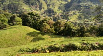 Belíssima Chácara de 20.000 m², no Alto da Mantiqueira, Delfim Moreira, Sul de Minas Gerais!