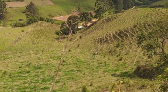 Lindo Sítio de 20.000 m2 em Marmelópolis-MG