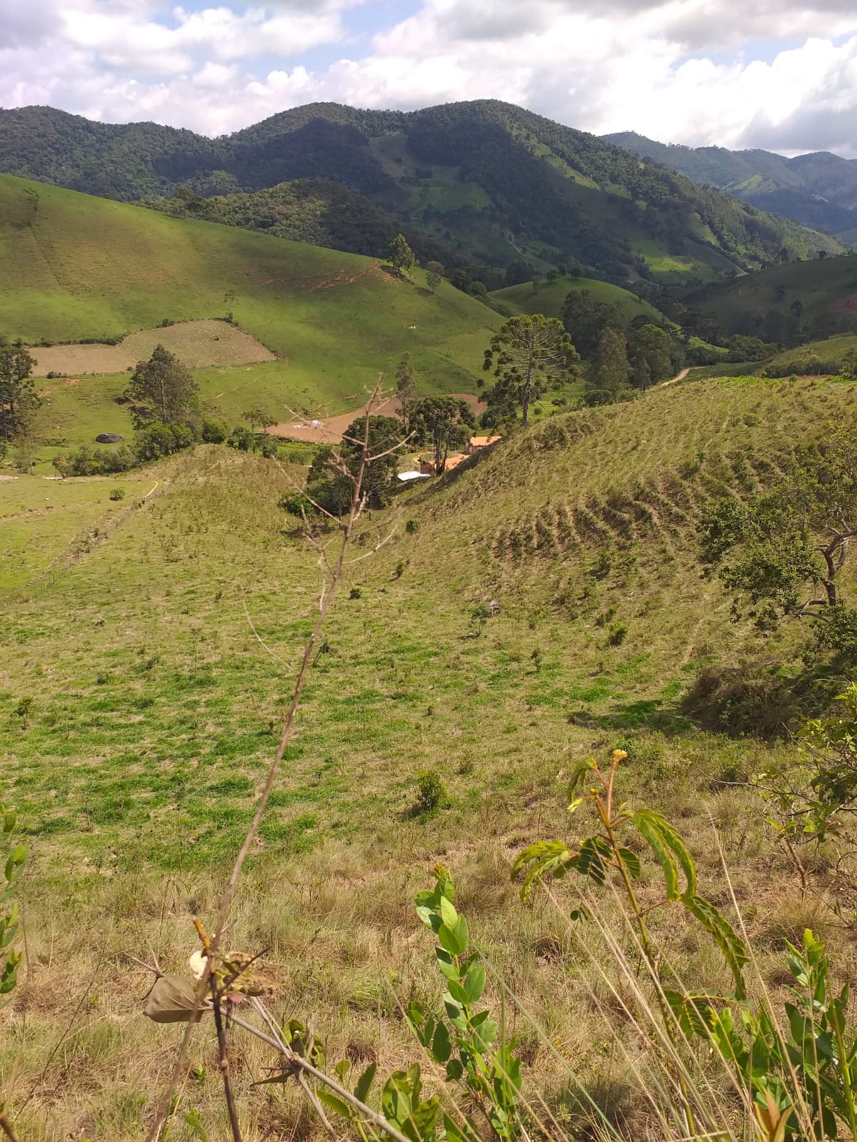 Lindo Sítio de 20.000 m2 em Marmelópolis-MG