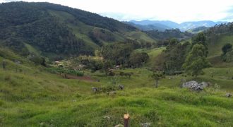 Excelente Chácara de 10.869 m2 em Marmelópolis-MG