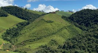 Sítio de 14 Hectares rico em água em Maria da Fé – MG