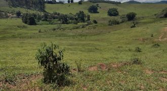 Maravilhoso Sítio com 10 Alqueires, em São José do Alegre, Sul de Minas Gerais!