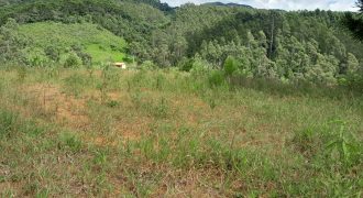 Maravilhosa chácara de 25.000 m2 em Marmelópolis, MG