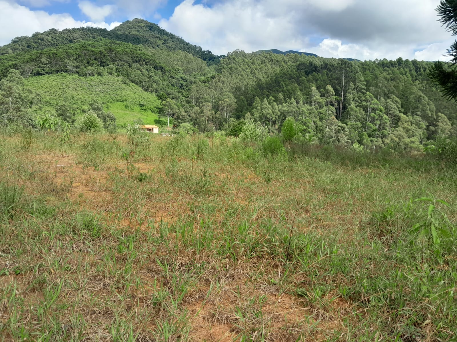 Maravilhosa chácara de 25.000 m2 em Marmelópolis, MG