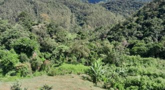 Belíssima Chácara de 14.000m2 no Alto da Montanha em Marmelopolis MG