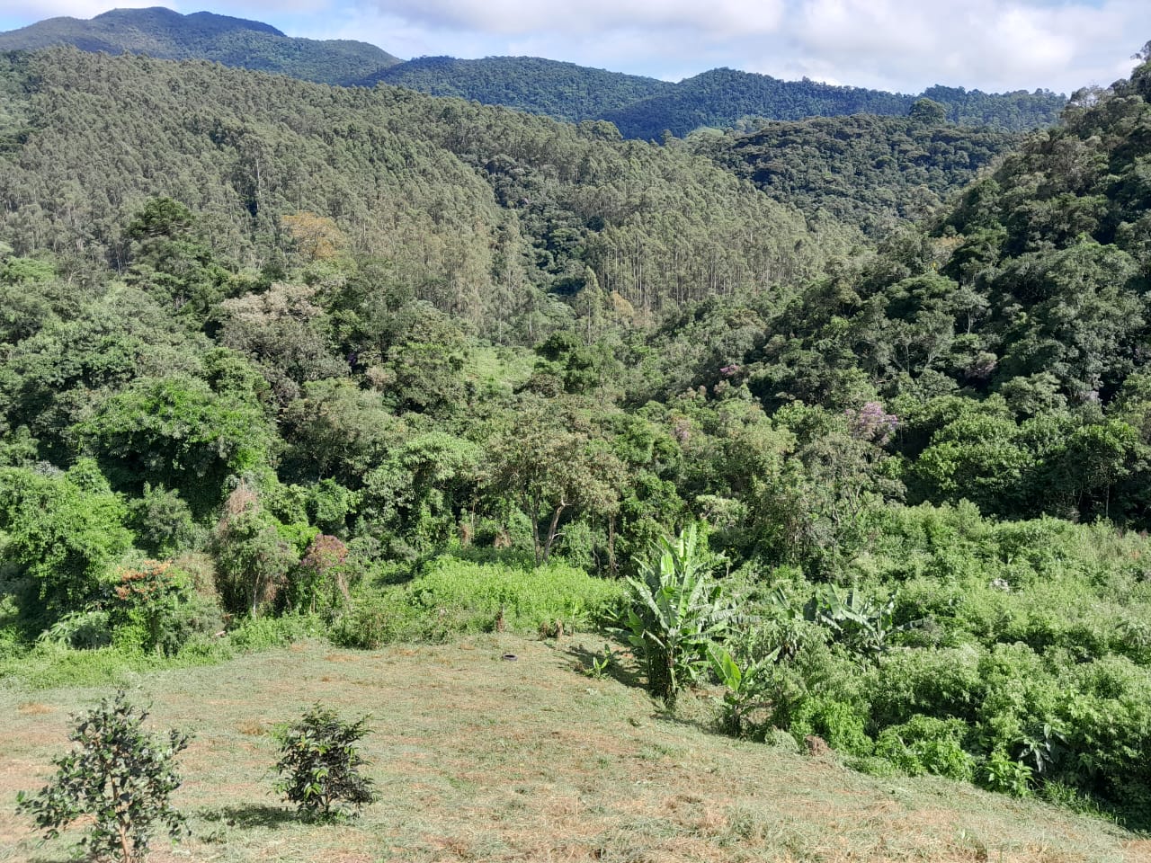 Belíssima Chácara de 14.000m2 no Alto da Montanha em Marmelopolis MG