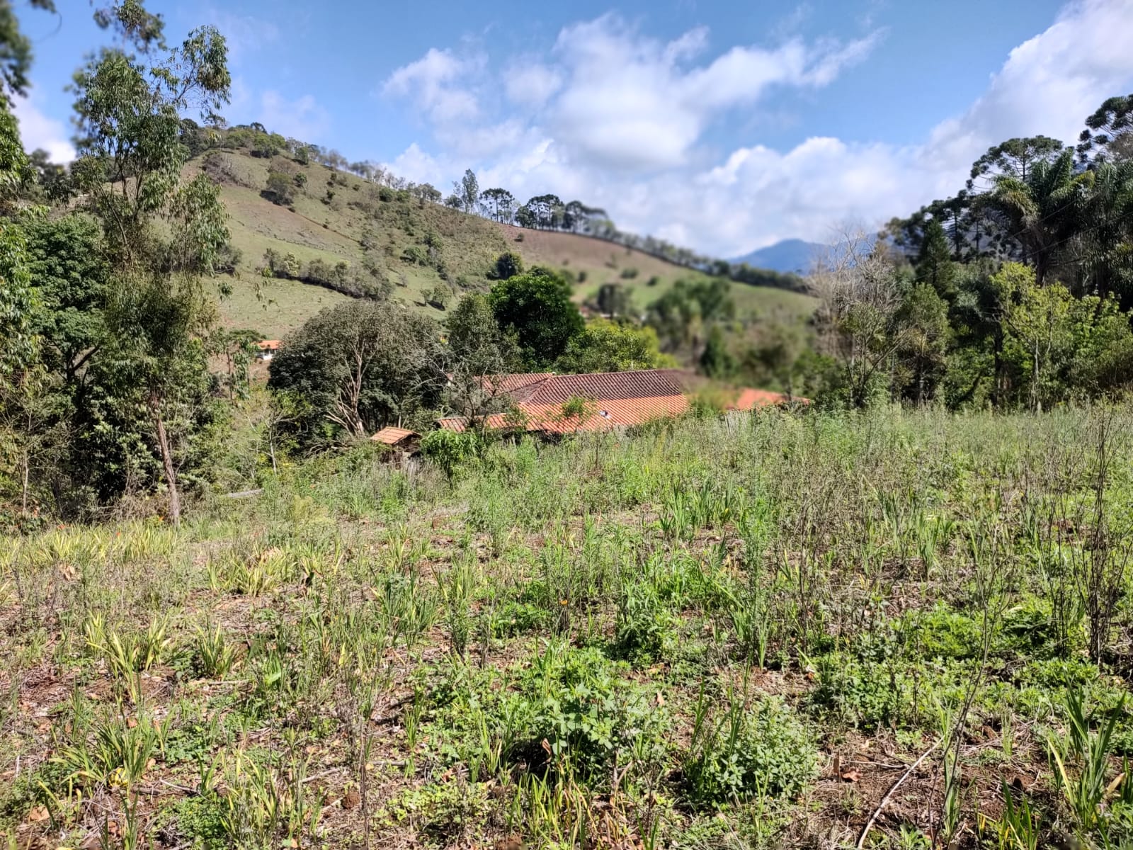 Excelente Chácara de 1.900m2 com linda vista em Marmelópolis, MG