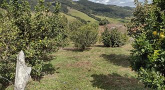 Excelente Terreno com 4.500m2, no Alto da Serra da Mantiqueira em Delfim Moreira/MG