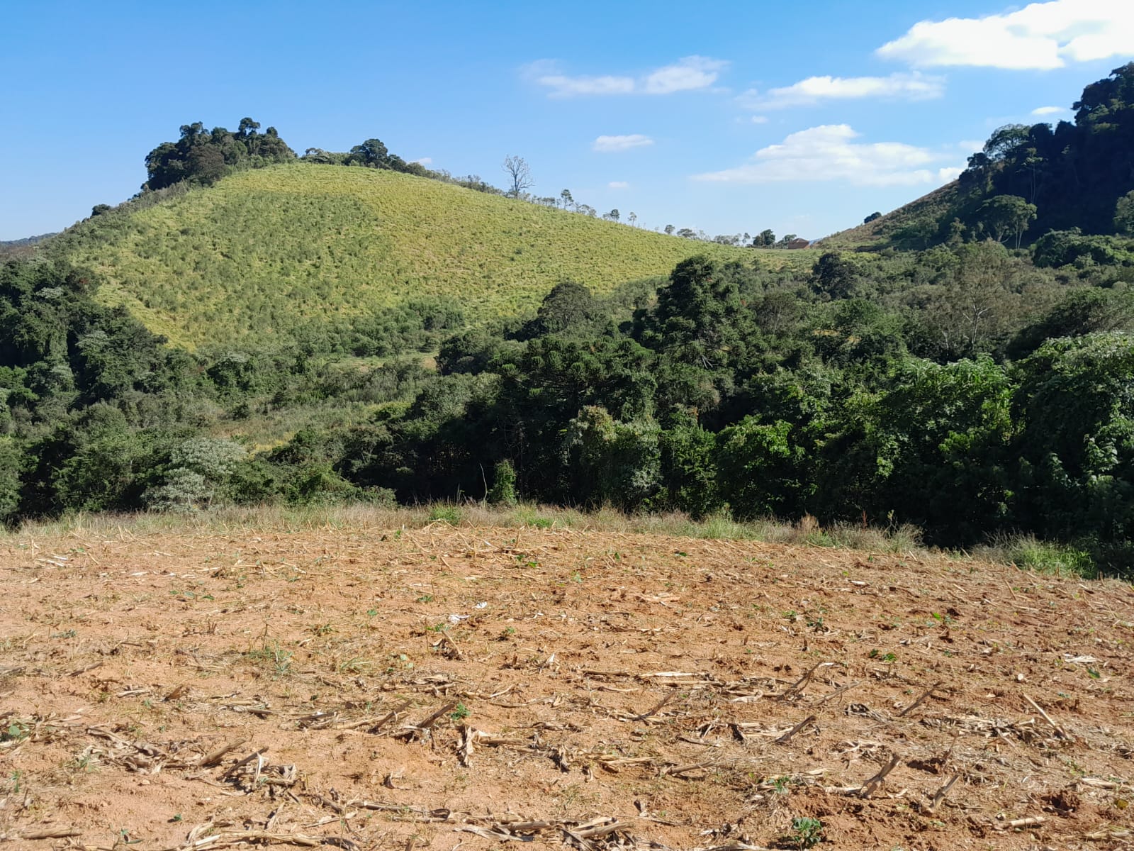 Belíssimo sítio de 30 hectares em Maria da Fé – MG