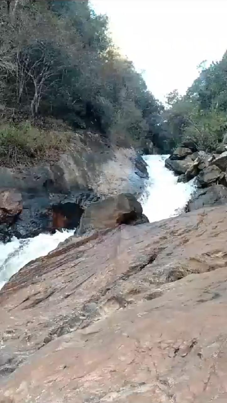 Sitio com 6,62 hectares, na Serra da Mantiqueira em Delfim Moreira/MG