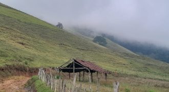 Sítio de 58 hectares, Água e Ar Puro! Delfim Moreira/Sul de Minas