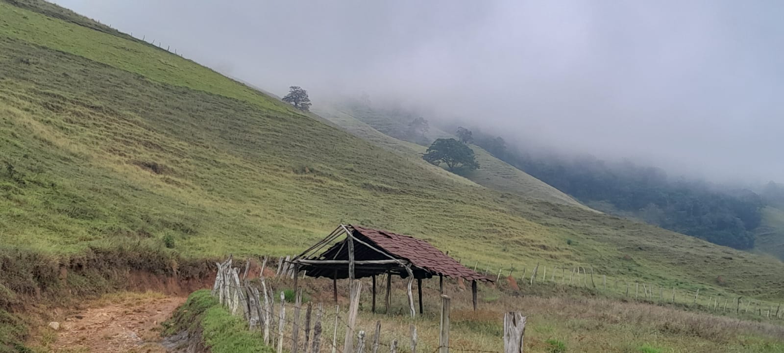 Sítio de 58 hectares, Água e Ar Puro! Delfim Moreira/Sul de Minas