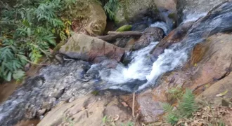 Ótima Chácara de 13.000 m², Piranguçu, Sul de Minas Gerais, a 39 km de Campos do Jordão