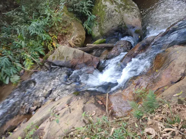 Ótima Chácara de 13.000 m², Piranguçu, Sul de Minas Gerais, a 39 km de Campos do Jordão