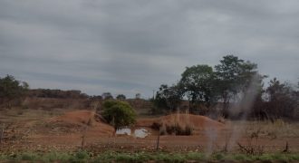 Excelente Fazenda de 120 Alqueires no Município de Lagoa da Confusão em Tocantins