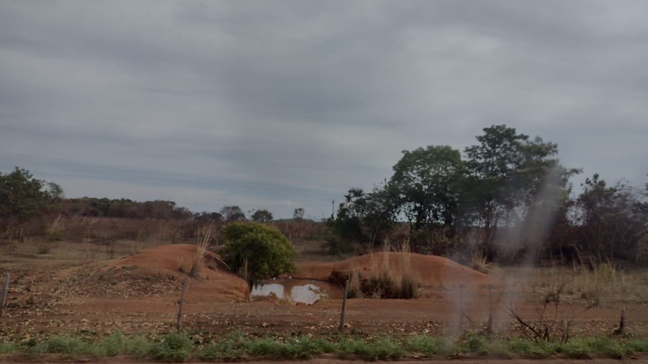 Excelente Fazenda de 120 Alqueires no Município de Lagoa da Confusão em Tocantins