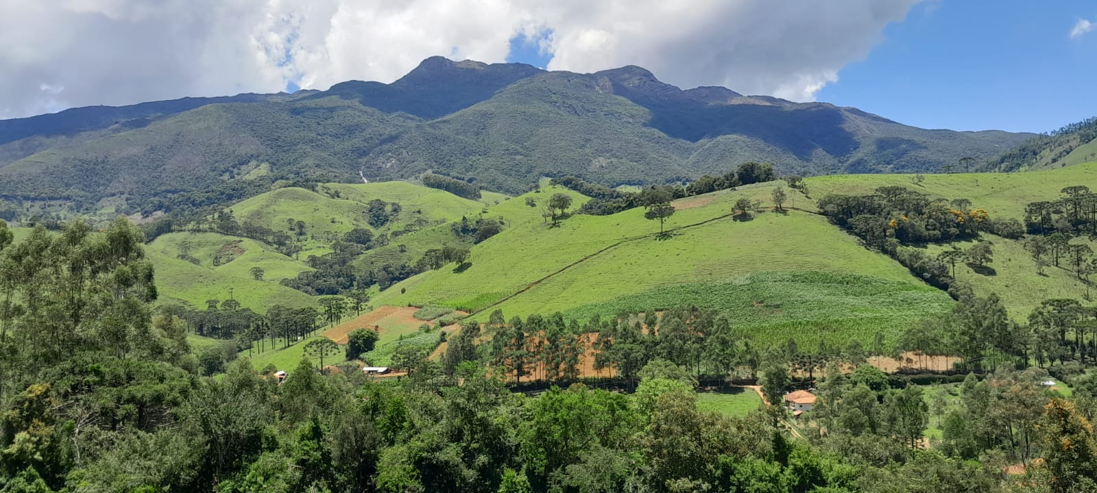 Excelente sítio de 2 Alqueires com Belíssima vista!! Em Marmelopolis- MG