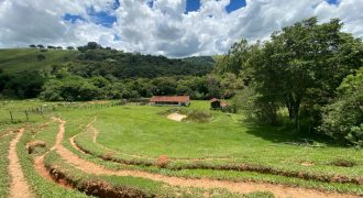 Fazenda de 20 alqueires, Dupla aptidão, Rica em Água – São José do Alegre/ Sul de MG