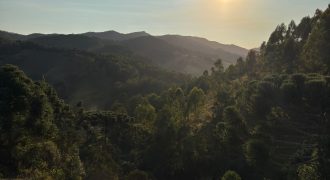 Linda Fazenda de 55,6 Hectares-Vista Maravilhosa-Terra Boa e Rica em Água/Delfim Moreira-Sul de MG